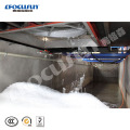 Containerized 15 tons fresh water flake ice machine with high quality